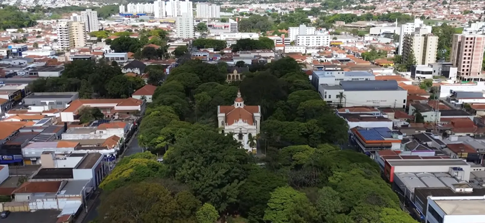 Vista aérea do centro de Araras (SP), com prédios, comércio e a Basílica Nossa Senhora do Patrocínio entre as árvores