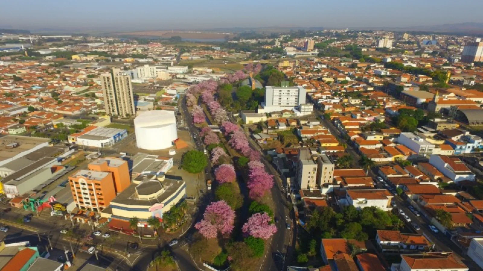 Vista aérea de Araras SP com avenida arborizada de ipês rosa floridos e o centro da cidade ao fundo