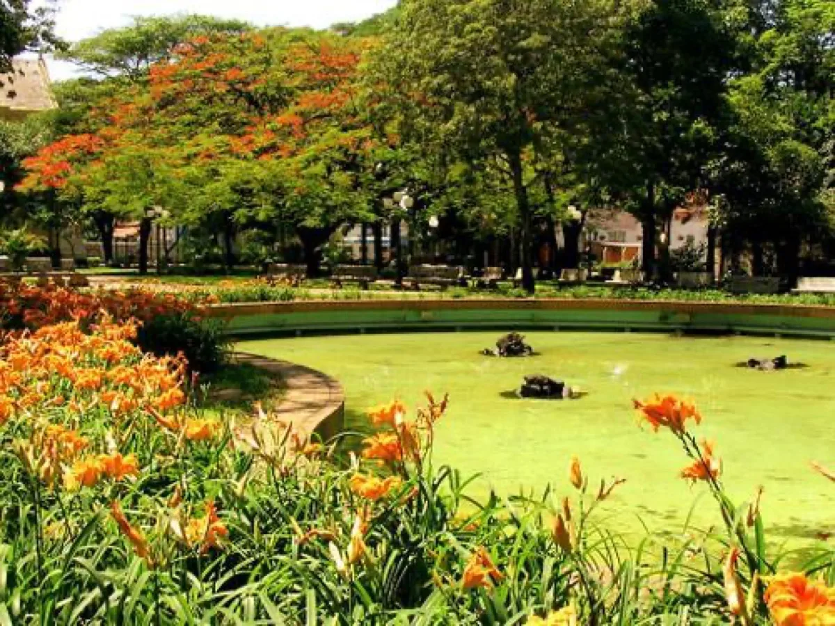 Praça Barão de Araras (SP) com canteiro de flores alaranjadas, fonte e árvores floridas ao fundo